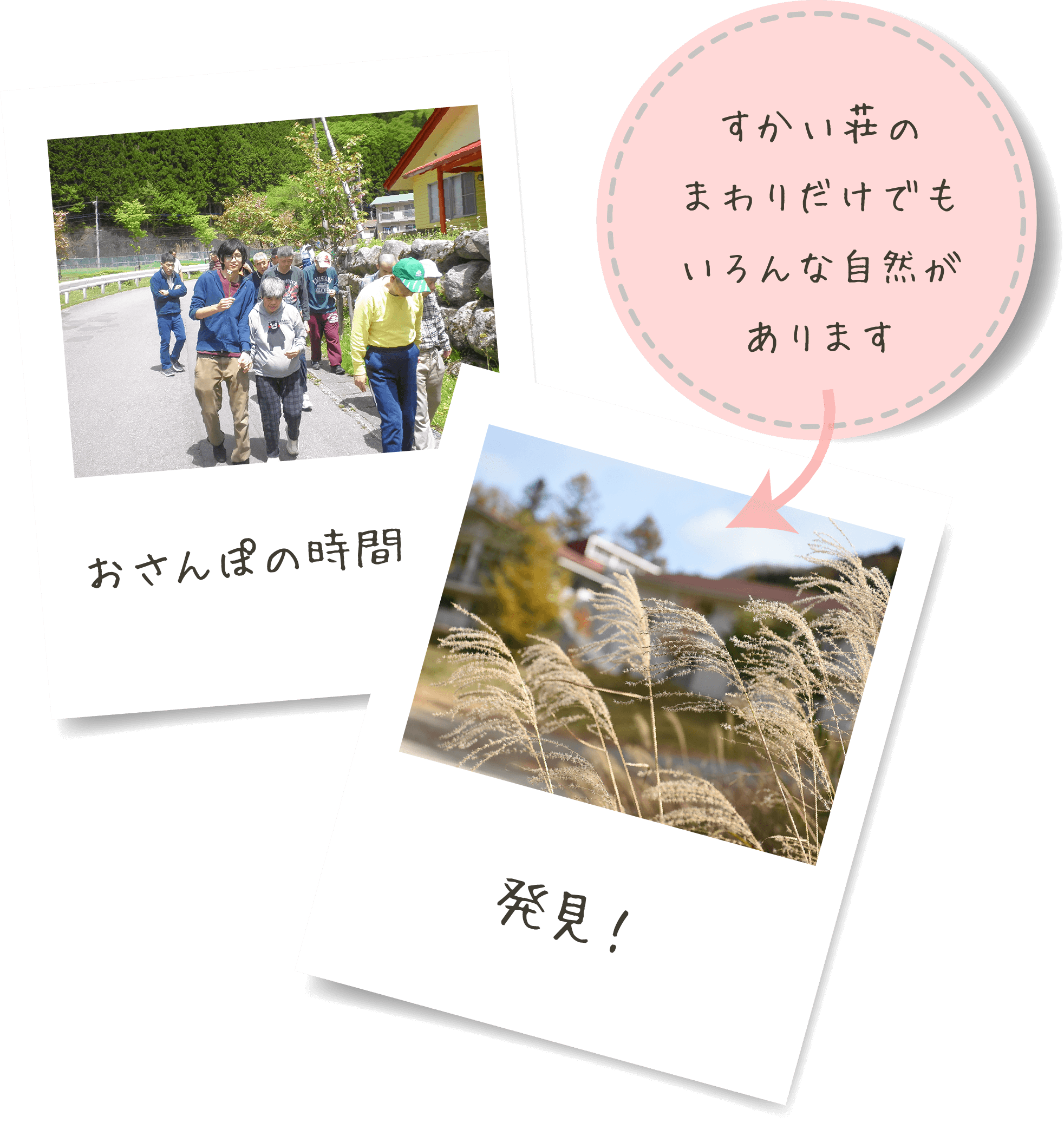 おさんぽの時間/発見!