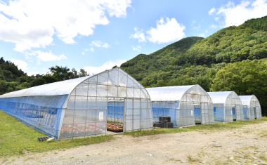 フラワーすかい