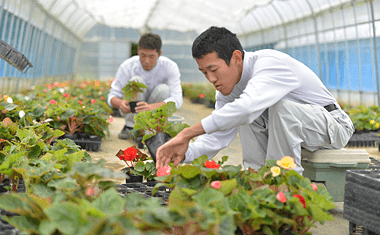 フラワーすかい