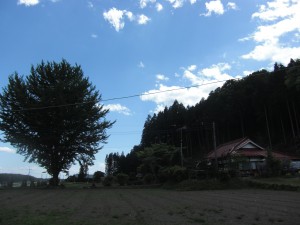 大通寺「三人展」見学会