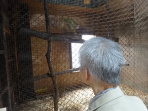 第二皇海荘 秋の旅行 那須ワールドモンキーパーク