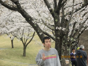 お花見ドライブに行きました。