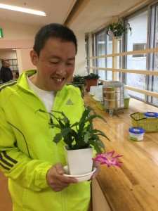 サボテンの花が咲きました。